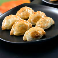 KO&CO Mandu - Vegetable 420g VEGAN
